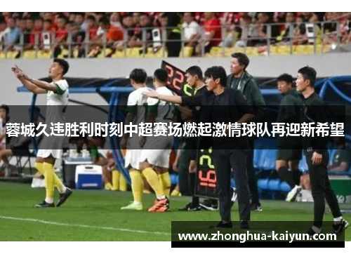 蓉城久违胜利时刻中超赛场燃起激情球队再迎新希望 蓉城久违胜利时刻中超赛场燃起激情球队再迎新希望